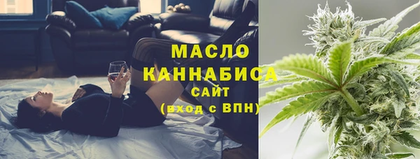 мет Протвино