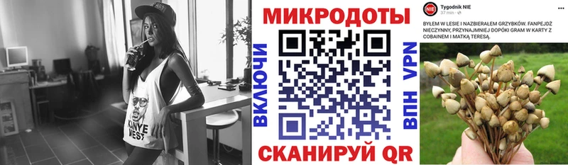 Псилоцибиновые грибы Magic Shrooms  наркота  Новомичуринск 